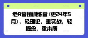老A营销训练营(更24年9月)，轻理论，重实战，轻概念，重本质-木子聊项目