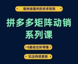 拼多多矩阵动销系列课，能持续盈利的多多矩阵，0基础也听得懂，玩法持续更新-木子聊项目
