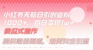 小红书无脑每日引流创业粉500+，小白每天只花半小时，躺赚长尾收益【揭秘】-木子聊项目