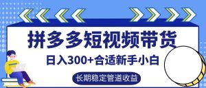 拼多多短视频带货日入300+，实操账户展示看就能学会-木子聊项目