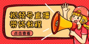 视频号直播带货教程：选品思路与话术拆解/掌握多种带货套路/提升直播效果-木子聊项目