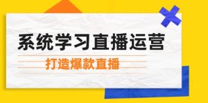 （12802期）系统学习直播运营：掌握起号方法、主播能力、小店随心推，打造爆款直播-木子聊项目