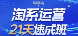 淘系运营21天速成班(更新24年12月),0基础轻松搞定淘系运营,不做假把式-木子聊项目