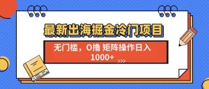 （13672期）最新出海掘金冷门项目，单号日入1000+-木子聊项目