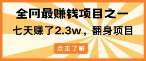（13674期）小白必学项目，纯手机简单操作收益非常高!年前翻身！-木子聊项目