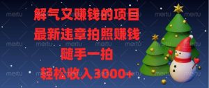 （13686期）解气又赚钱的项目，最新违章拍照赚钱，随手一拍，轻松收入3000+-木子聊项目