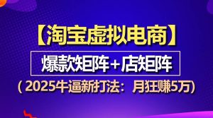 (13687期)【淘宝虚拟项目】2025牛逼新打法:爆款矩阵+店矩阵,月狂赚5万-木子聊项目