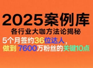2025案例库，收录各行业大咖的方法论，各行业大咖方法论揭秘-木子聊项目
