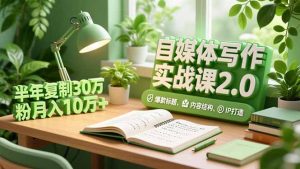 自媒体写作实战课2.0,爆款标题、内容结构、IP打造,半年复制30万粉月入10万+-木子聊项目