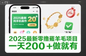 2025最新零撸薅羊毛项目，纯手机操作，20秒一单，无任何门槛，一天200+做就有【揭秘】-木子聊项目