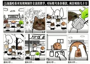 卤蛋哈基米短视频制作全流程教学，条条爆款，疯狂吸粉几十万-木子聊项目