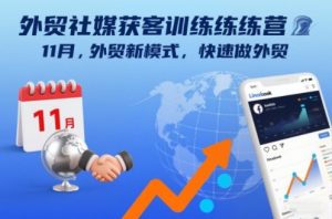 外贸社媒获客训练营11月，外贸新模式，快速做外贸-木子聊项目
