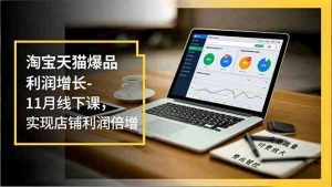 淘宝天猫爆品利润增长-11月线下课，免费流量、付费放大、费比管控，实现店铺利润倍增-木子聊项目