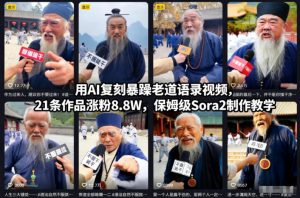 用AI复刻暴躁老道语录视频，21条作品涨粉8.8W，保姆级Sora2制作教学-木子聊项目