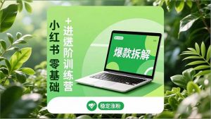 小红书零基础+高阶训练营:安全养号、爆款拆解、长效运营,实现稳定涨粉与变现-木子聊项目