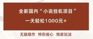 全新国内小说挂G项目，多窗口无脑跑，一天轻松1k+，特别省心【揭秘】-木子聊项目