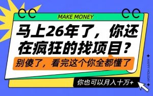 26年了,不要再疯狂的找项目了,看完这个你也可以月入十个W【揭秘】-木子聊项目
