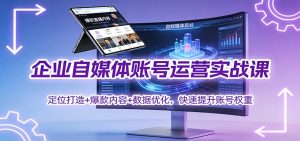 企业自媒体账号运营实战课:定位打造+ 爆款内容+数据优化,快速提升账号权重-木子聊项目