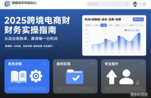 2025跨境电商财务实操指南,从后台到账本,算清每一分利润,系统讲解-案例实操-专业提升-木子聊项目