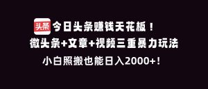 今日头条赚钱天花板！微头条+文章+视频三重暴利玩法，小白照搬也能日人2000+-木子聊项目