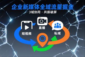 短视频全域商业模式，企业新媒体全域流量掘金，3域协同，共振破屏，短视频-直播-私域-地域-木子聊项目