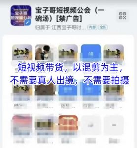 宝子哥头部团队短视频带货，以混剪为主，不需要真人出镜，不需要拍摄【更新11月】-木子聊项目
