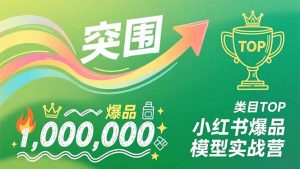 小红书爆品模型实战营,从新品突围到成为类目TOP,可复制路径,打造多个营收百万级爆品-木子聊项目