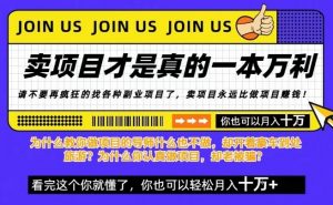 知识付费，你离月入10W只差一个开始！26年给自己一个机会，挖金子不如买铲子【揭秘】-木子聊项目