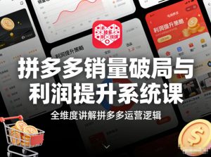 拼多多销量破局与利润提升系统课,全维度讲解拼多多运营逻辑-木子聊项目