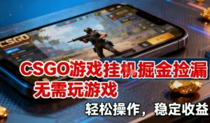 CSGO游戏挂G掘金捡漏，不需要玩游戏，操作简单，收益稳定【揭秘】-木子聊项目