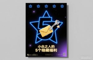 付费文章:小众之人的5个隐藏福利-木子聊项目