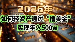 2026年如何轻资产通过“撸美金”实现年入500w-木子聊项目