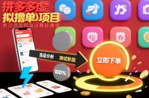 拼多多虚拟撸单项目,跳过选品和测试直接撸单-木子聊项目