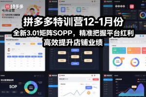 拼多多特训营12-1月份，全新3.01矩阵Sop，精准把握平台红利，高效提升店铺业绩-木子聊项目