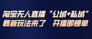 淘宝无人直播最新玩法,包含私域和公域两种玩法-木子聊项目