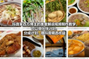 抖音某百万博主的美食解说视频制作教学，可以做伙伴计划，分成计划，撸抖音精选收益-木子聊项目