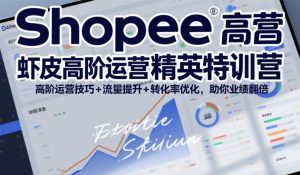 Shopee虾皮高阶运营精英特训营,高阶运营技巧+流量提升+转化率优化,助你业绩翻倍-木子聊项目