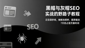 黑帽与灰帽SEO实战的野路子教程:泛目录秒收,蜘蛛池搭桥,霸屏截流,7天抢占首页暴利词-木子聊项目
