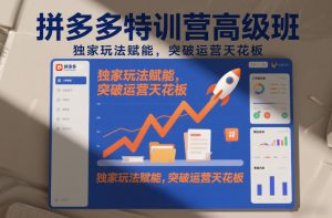 拼多多特训营高阶班，独家玩法赋能，突破运营天花板(更新26年1月)-木子聊项目