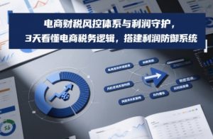 电商财税风控体系与利润守护，3天看懂电商税务逻辑，搭建利润防御系统-木子聊项目
