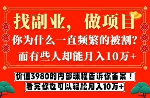价值3980的网创内部课程，告诉你互联网创业月入10个W的秘密【揭秘】-木子聊项目