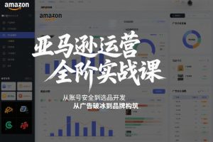 亚马逊运营全阶实战课，从账号安全到选品开发，从广告破冰到品牌构筑(更新2026)-木子聊项目