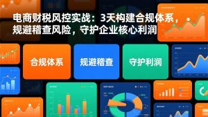 电商财税风控实战：3天构建合规体系，规避稽查风险，守护企业核心利润-木子聊项目