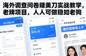 海外调查问卷賺美刀实战教学,老牌项目,人人可做稳如老狗-木子聊项目