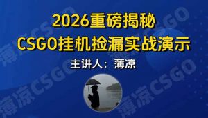 CSGO游戏挂机游戏搬砖最新升级，普通小白一部手机可日入300+当天见结果，支持验证-木子聊项目