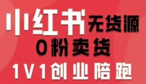 小红书无货源0粉电商课，开店准备、选品策略、笔记撰写、视频剪辑、数据分析、账号打造、资料文档(更新26年1月)-木子聊项目