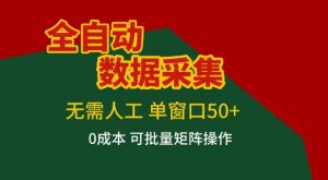 全自动数据采集项目，无需人工，单窗口可达50+收益，操作简单无难度，一个人也能轻松实现矩阵【揭秘】-木子聊项目