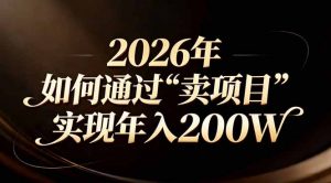 站在2026年的十字路口：一个普通人如何通过卖项目实现年入200万-木子聊项目