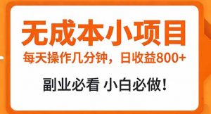 无成本小项目 每天操作几分钟，真实日收益800+ 副业必看 小白必做！-木子聊项目