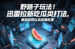 野路子玩法！迅雷拉新吃瓜类打法，截流自热以及后端处理-木子聊项目